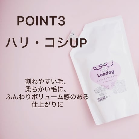 リードッグトリートメント　200ml