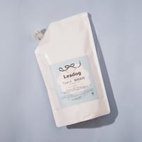 リードッグケアシャンプー Type.A 脂性肌用　1L