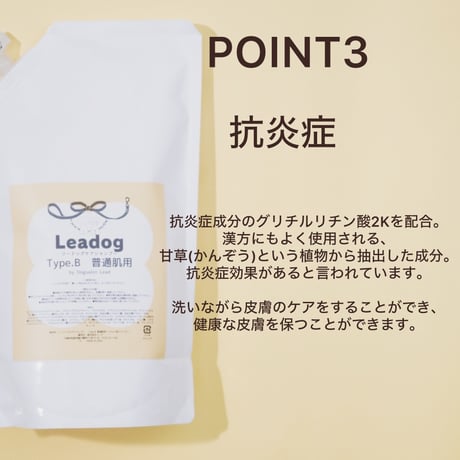 リードッグケアシャンプーType.B 普通肌用 1L