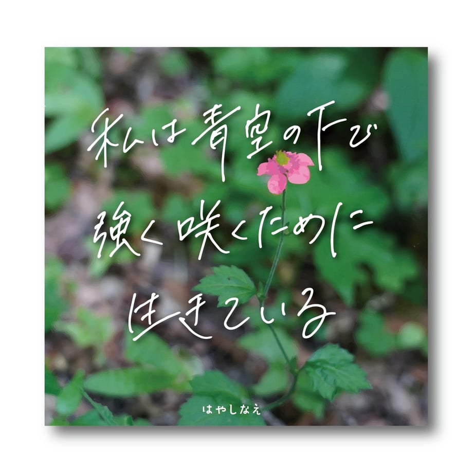 66c32e181b56ba074d7d8300