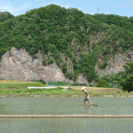 亀之山農園の自然栽培米　30kg