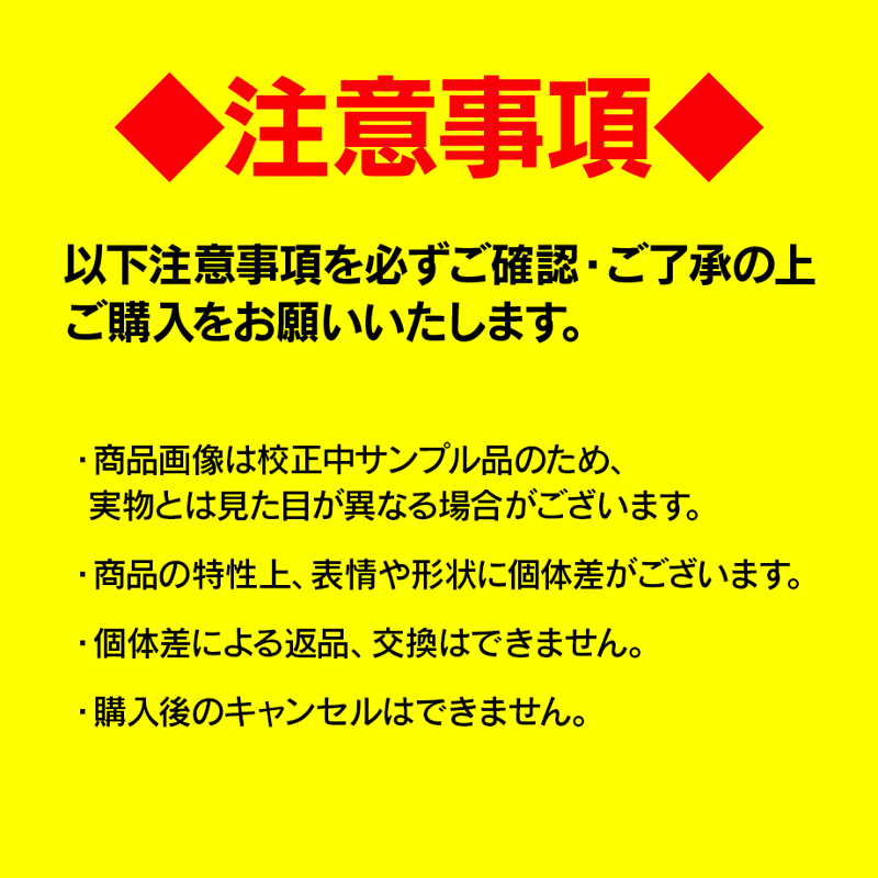 DYNAMIC CHORD ぬいぐるみ【KYOHSO】 | はにーしょっぷ