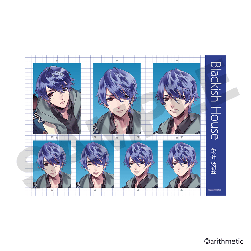 Blackish House 証明写真風ブロマイドコレクションvol.2 | はにーしょっぷ