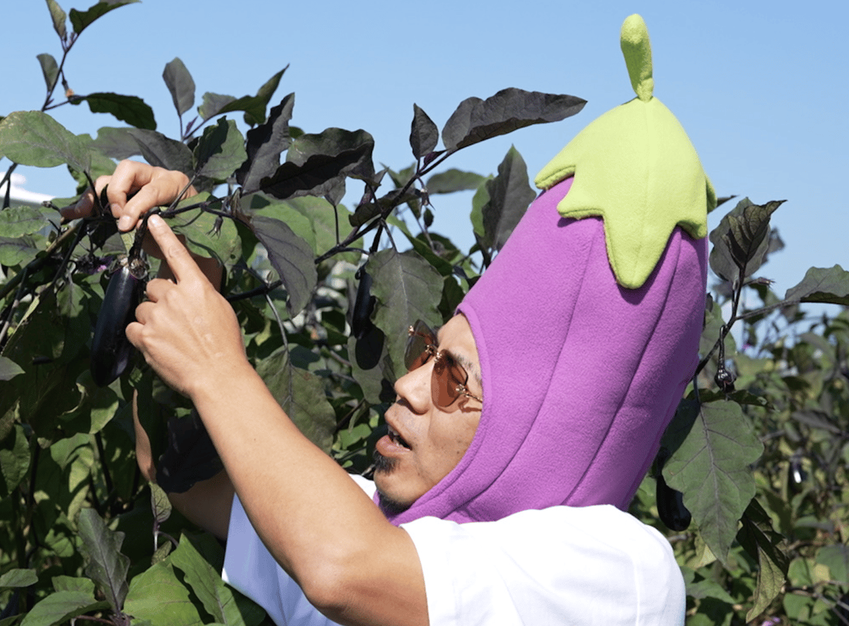 本物のナスビの被り物 | 天竺川原イベントGOODS