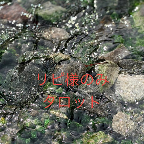 healer 皇