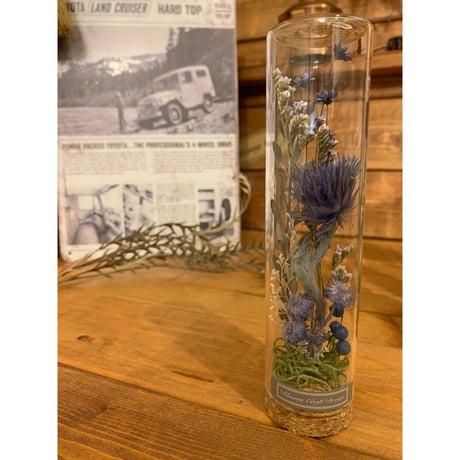 STORES ドライフラワーの検索結果