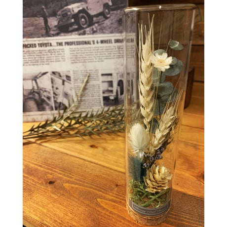 STORES ドライフラワーの検索結果