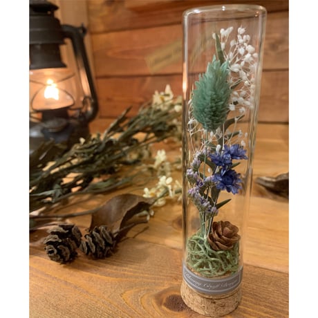 STORES ドライフラワーの検索結果