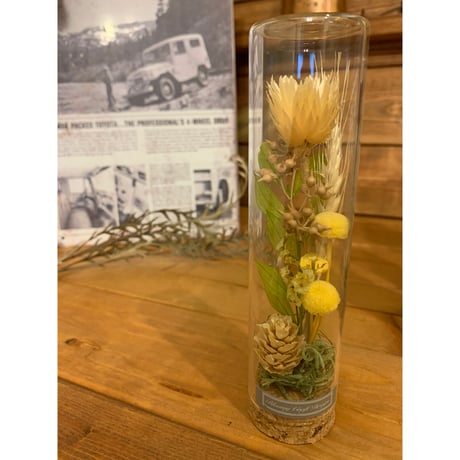 専用＊ Jumbo bottleドライフラワーボトル パンパスツリー 専用