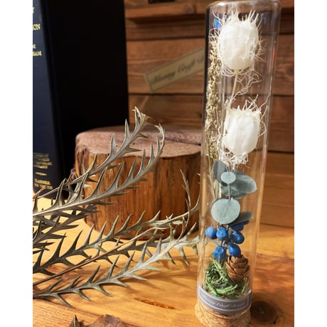 STORES ドライフラワーの検索結果