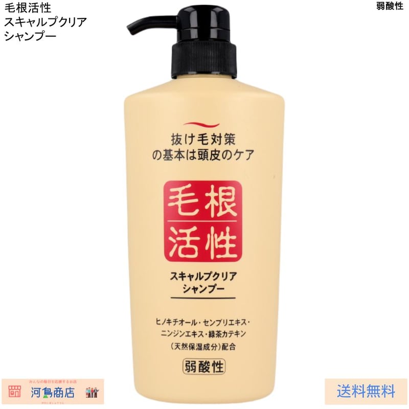 毛根活性 スキャルプクリア シャンプー 550mL | 河島商店
