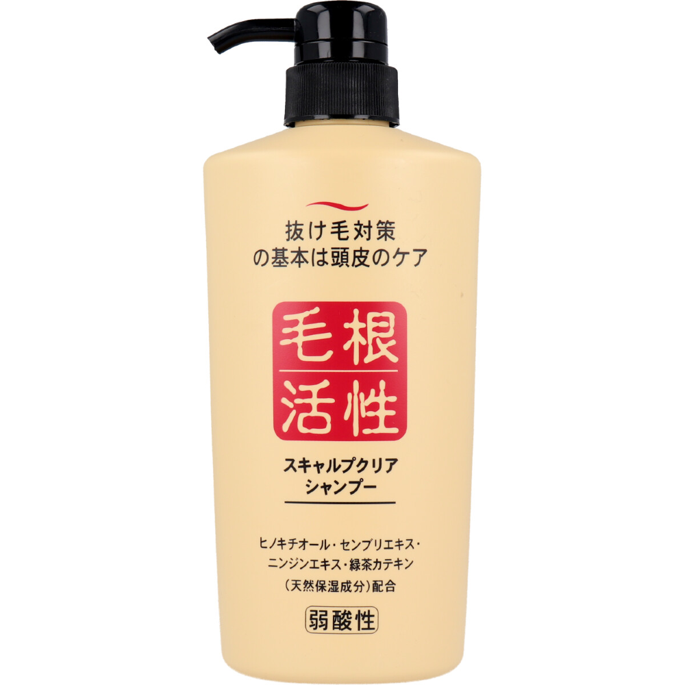 毛根活性 スキャルプクリア シャンプー 550mL | 河島商店