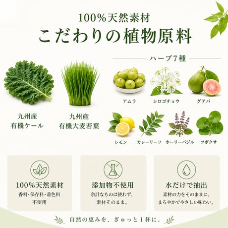 YOGAGREENーヨガグリーンー　1日1包で美肌・美髪を徹底サポート！お悩み例【疲労・毛穴の開き・たるみ・シワ・髪質・抜け毛・切れ毛】