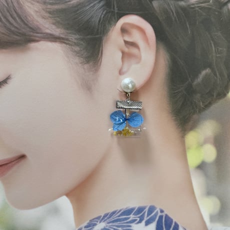 紫陽花アクアブルー×イエローsukueaパール