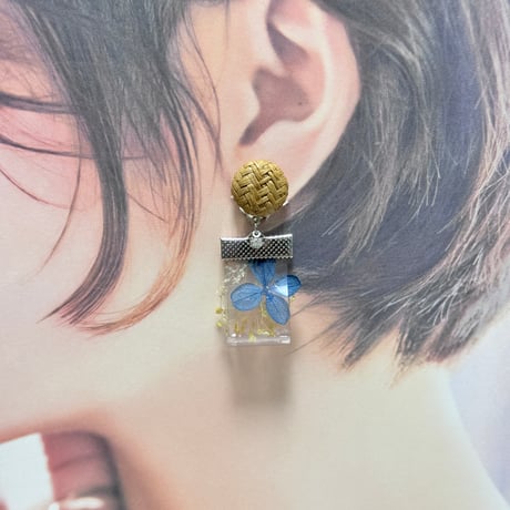 （春夏）紫陽花コバルトブルー×イエローsukueaラタン