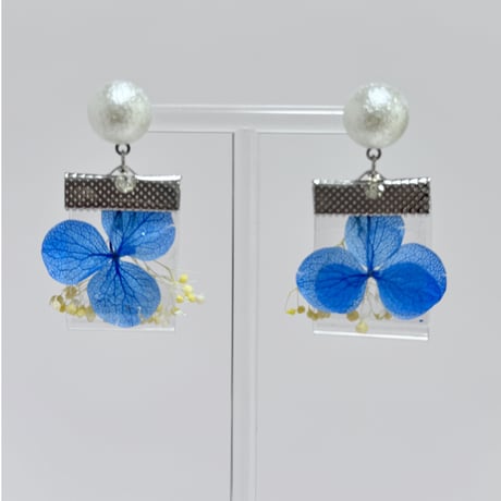 紫陽花アクアブルー×イエローsukueaパール