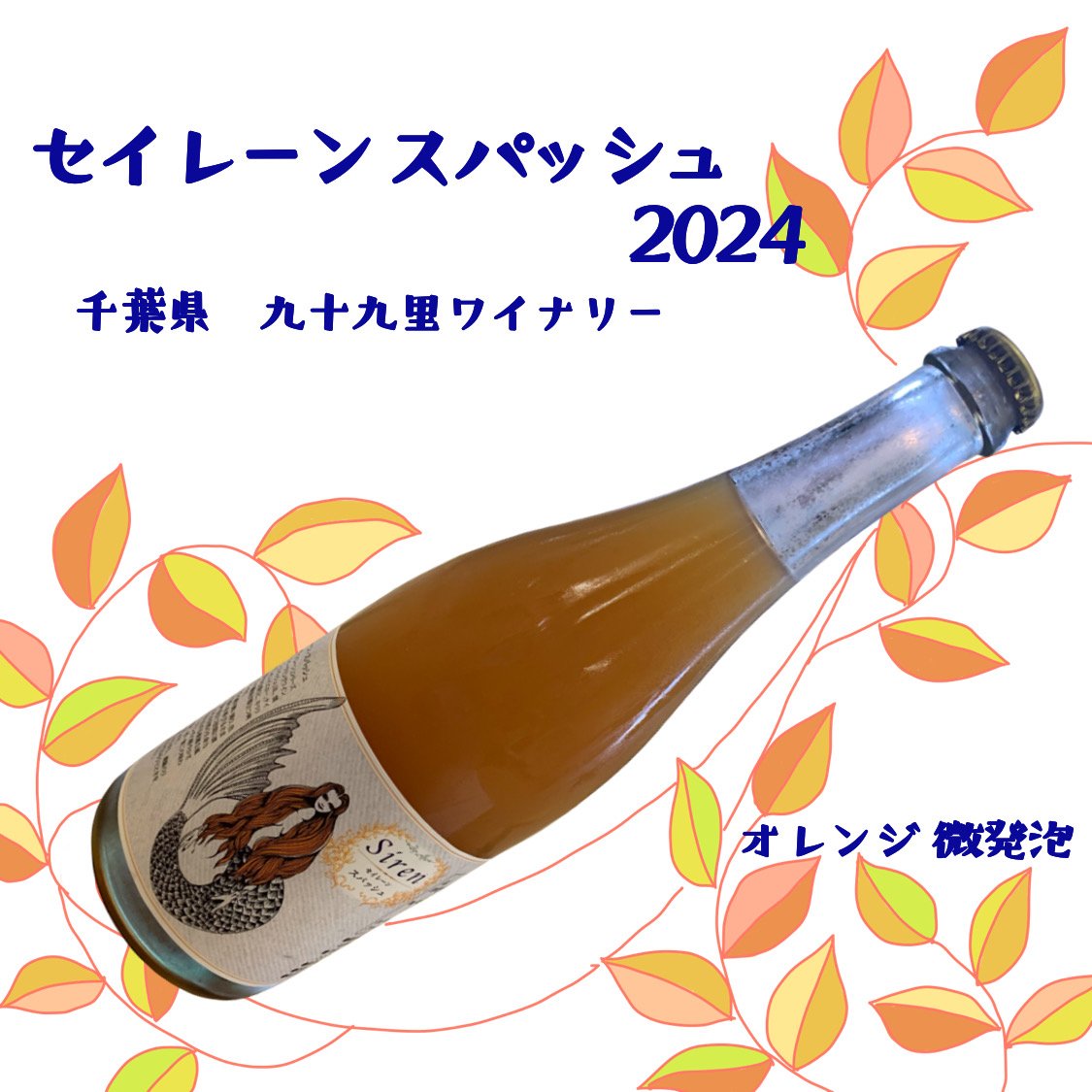 セイレーン スパッシュ 2024 微発泡・オレンジ 750ml ☆要冷蔵 | 酒文商店