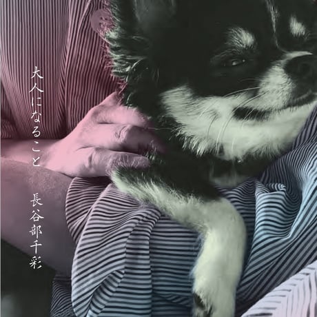 書籍『大人になること』長谷部千彩