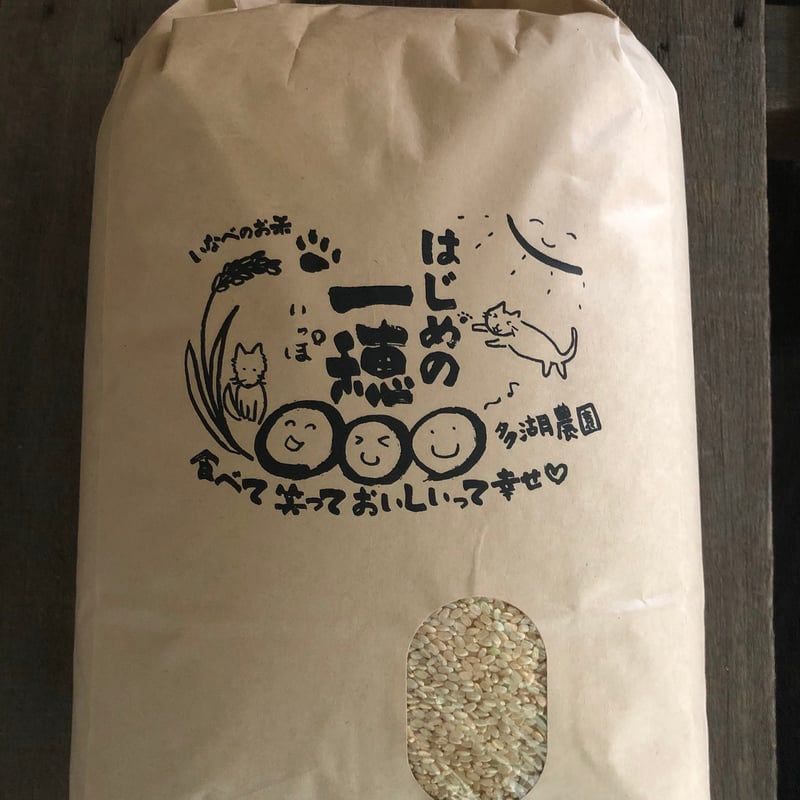 小分け代込み！激旨！特別なミルキークイーン玄米24キロ！6年産