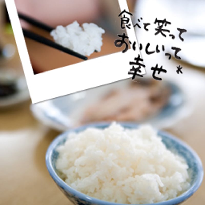 令和6年産新米10㎏コシヒカリ/旨みしっかり(玄米、白米、五分 令和6年産新米10㎏コシヒカリ/旨みしっかり(玄米、白米、五分