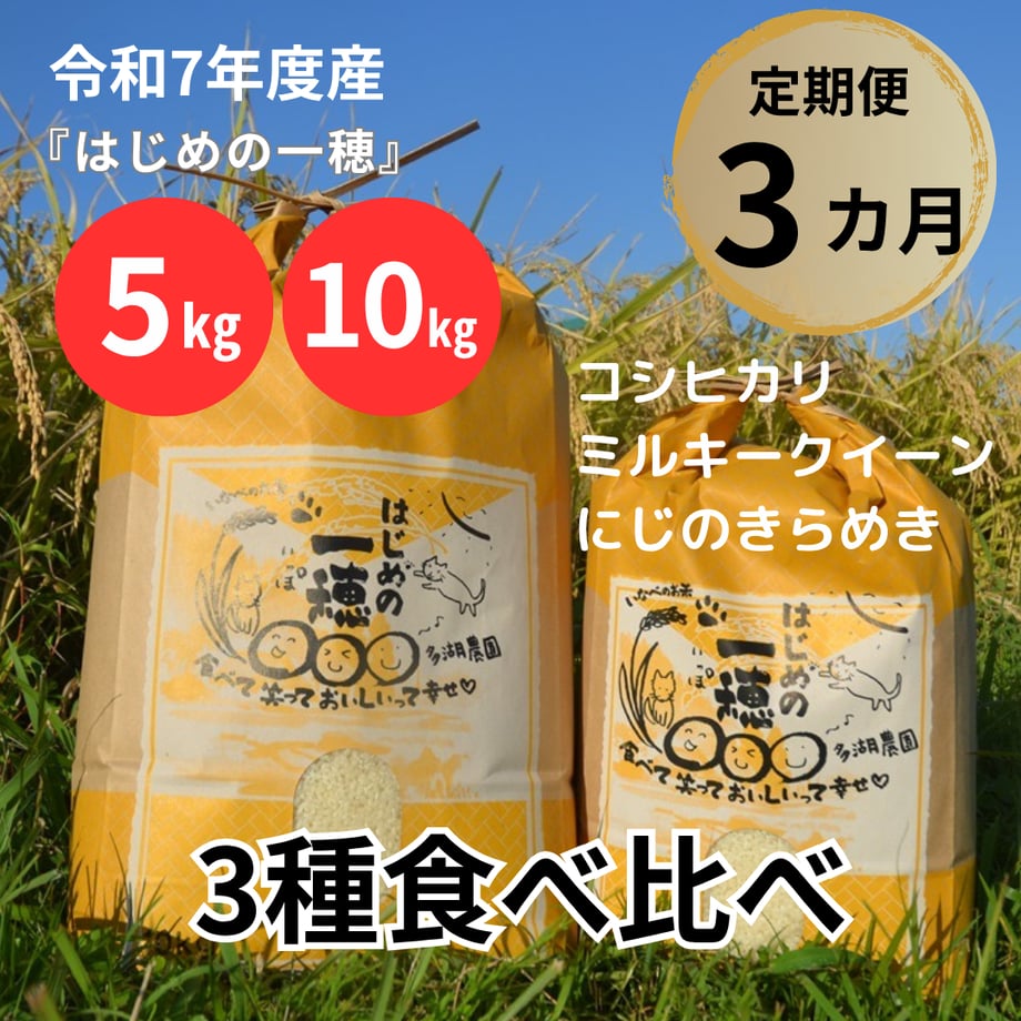 685b80453fd2e13cbfffd791