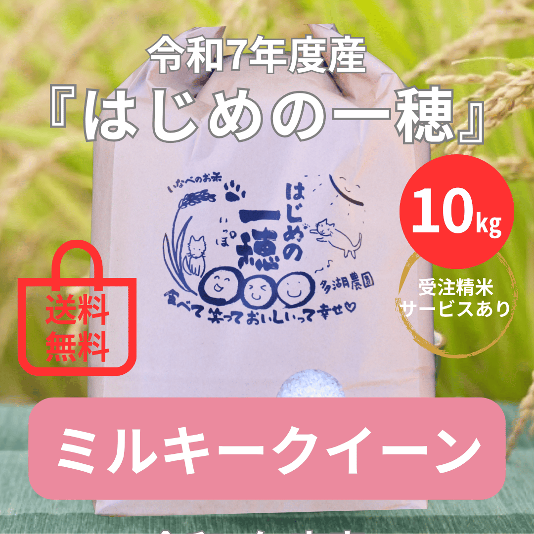 つくしんぼ様専用ミルキークイーン10キロ 【公式通販】