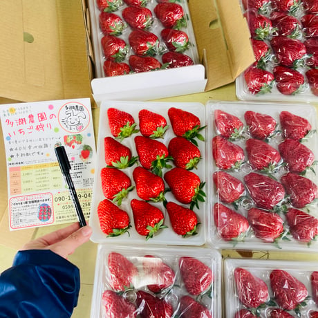 いちご（紅ほっぺ）