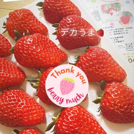 いちご（紅ほっぺ）