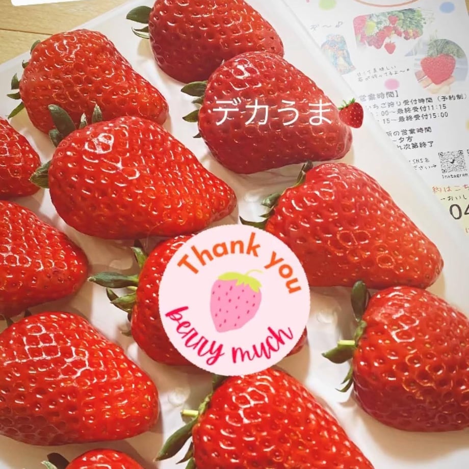 6677f560a121910322eca45c