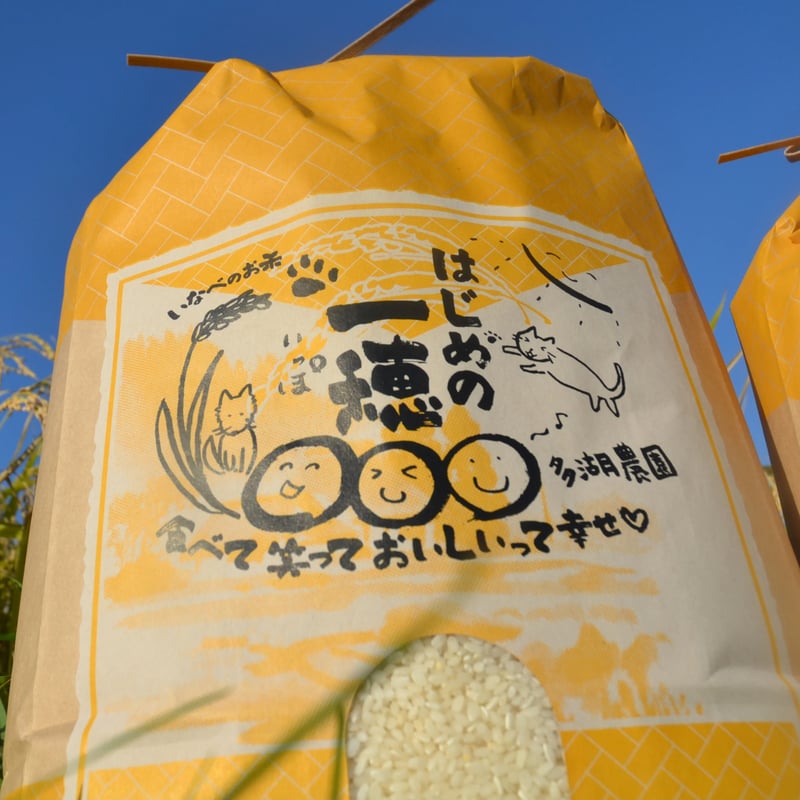 ⑤令和6年コシヒカリ新米⭐️第1等米⭐️稲刈りしたばかりです！