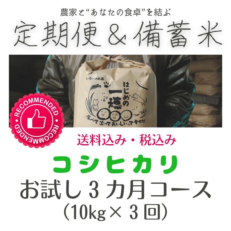 66829bd659739804ae764585