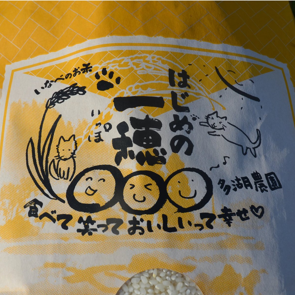 新米 R5年ミルキークイーン白米27kg小分け版 もちっと食感