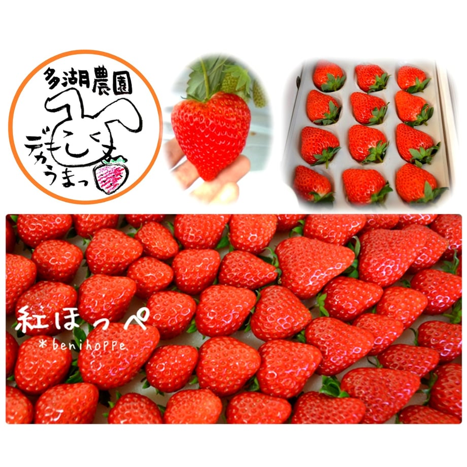 6677f560a121910322eca45c