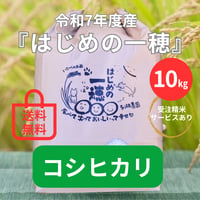 【新米10㎏】コシヒカリ