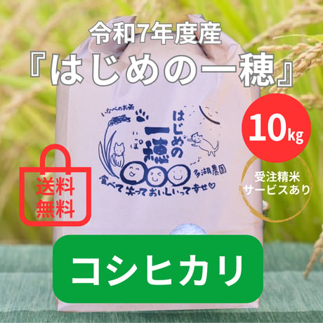 【新米10㎏】コシヒカリ