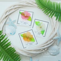 ちょこんとふらわー　ハイビスカス