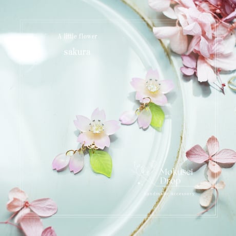 2026年版　ちょこんとふらわー　SAKURA🌸