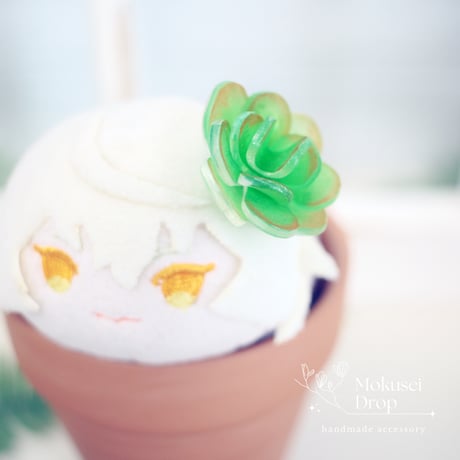 ちょこんとふらわー　多肉植物２