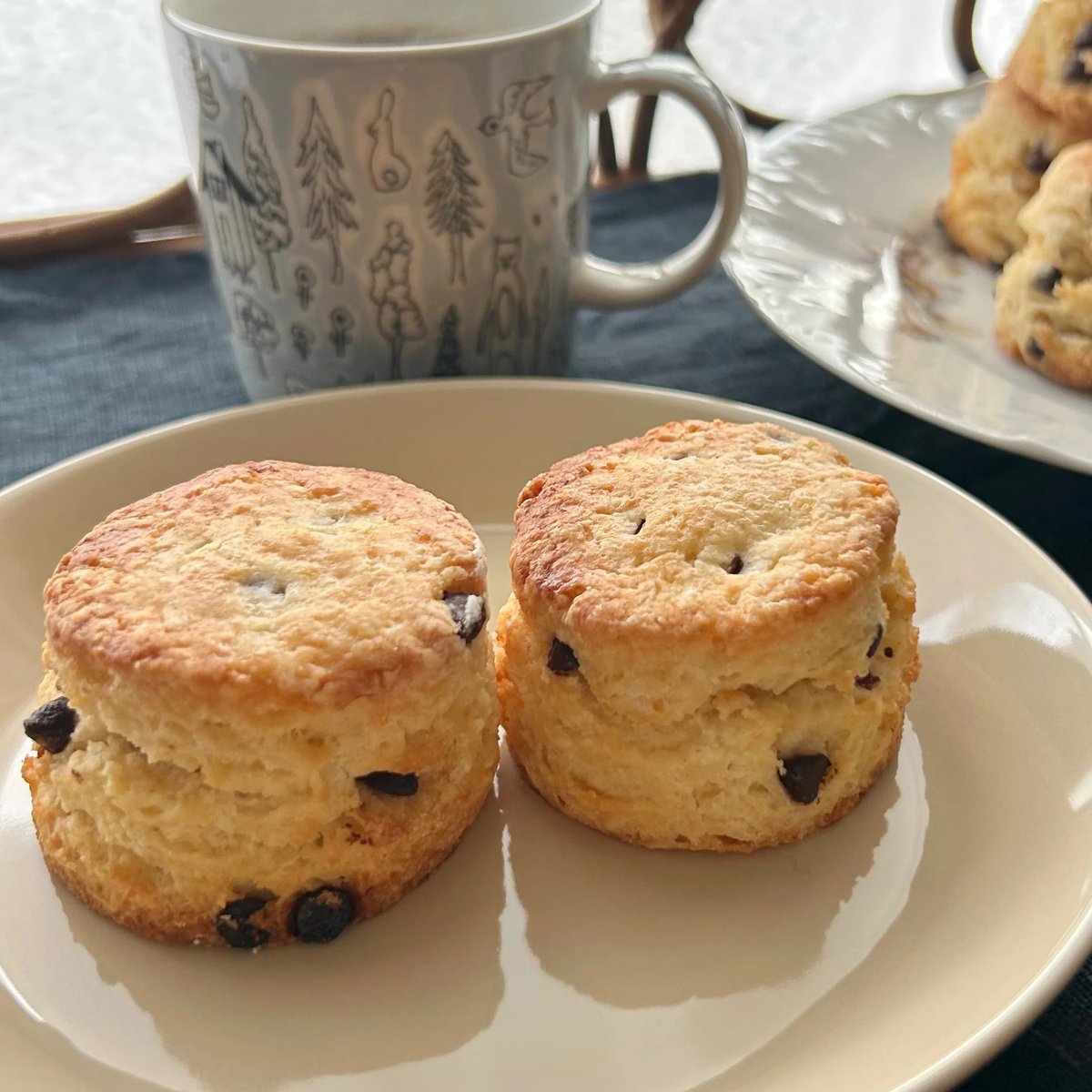 チョコチップスコーン（2個入り) 1/16発送予定 | しましまネコノテ