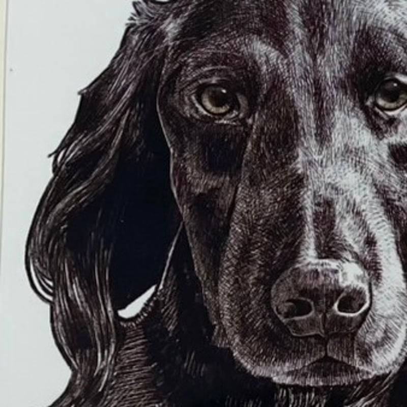 うちの子似顔絵×オリジナルドリップバッグセット | ダックビルコーヒー