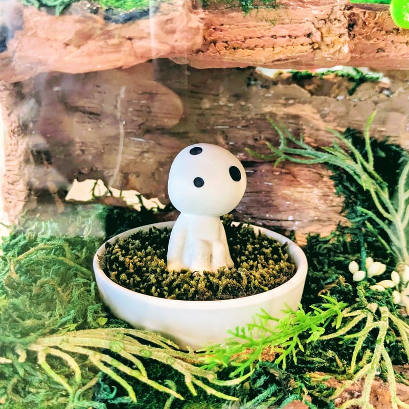 ジブリパーク もののけ姫 コダマ 苔栽培鑑賞セット | よしつねの