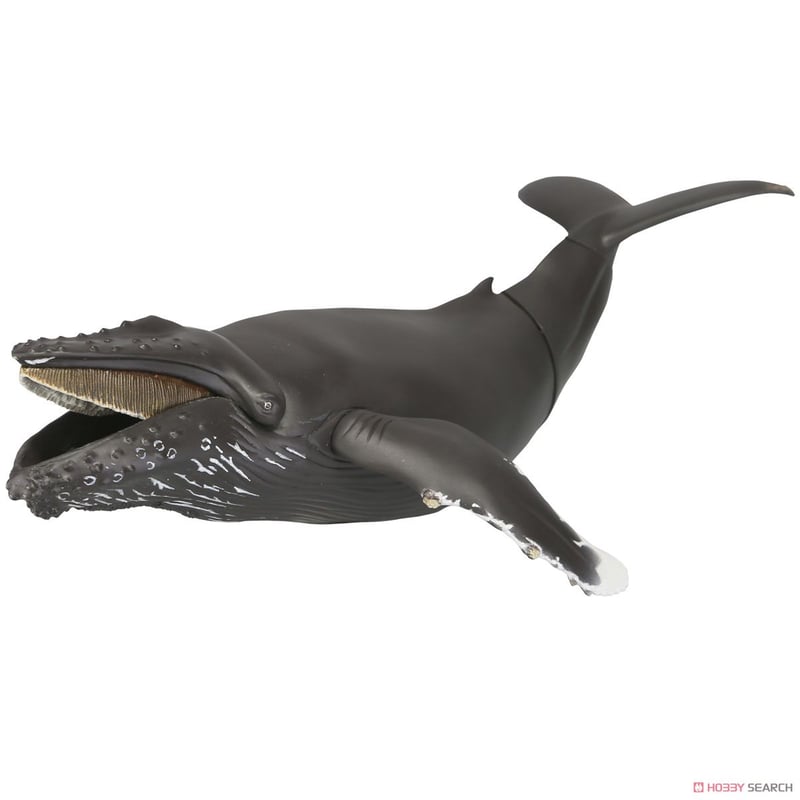 ザトウクジラ 海洋堂 ソフビトイボックス 013 クジラ ザトウクジラ ソフビ