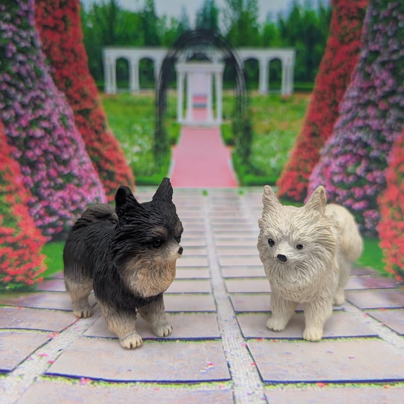 かわいい犬のおしりマグネット チワワ マグネット 黒チワワ 白