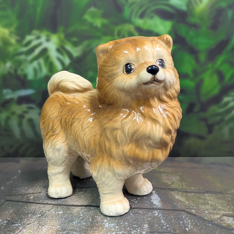 陶器製 犬の置物 ポメラニアン 置物 インテリア | よしつねの秘密基地