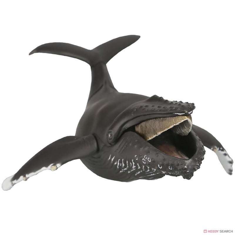 (未使用･未開封品)ソフビトイボックス013 クジラ ザトウクジラ ノンスケール ソフトビニール製 塗装済み 可動フィギュア 61oP3GuoXUL._UF350,350_QL80_.jpg