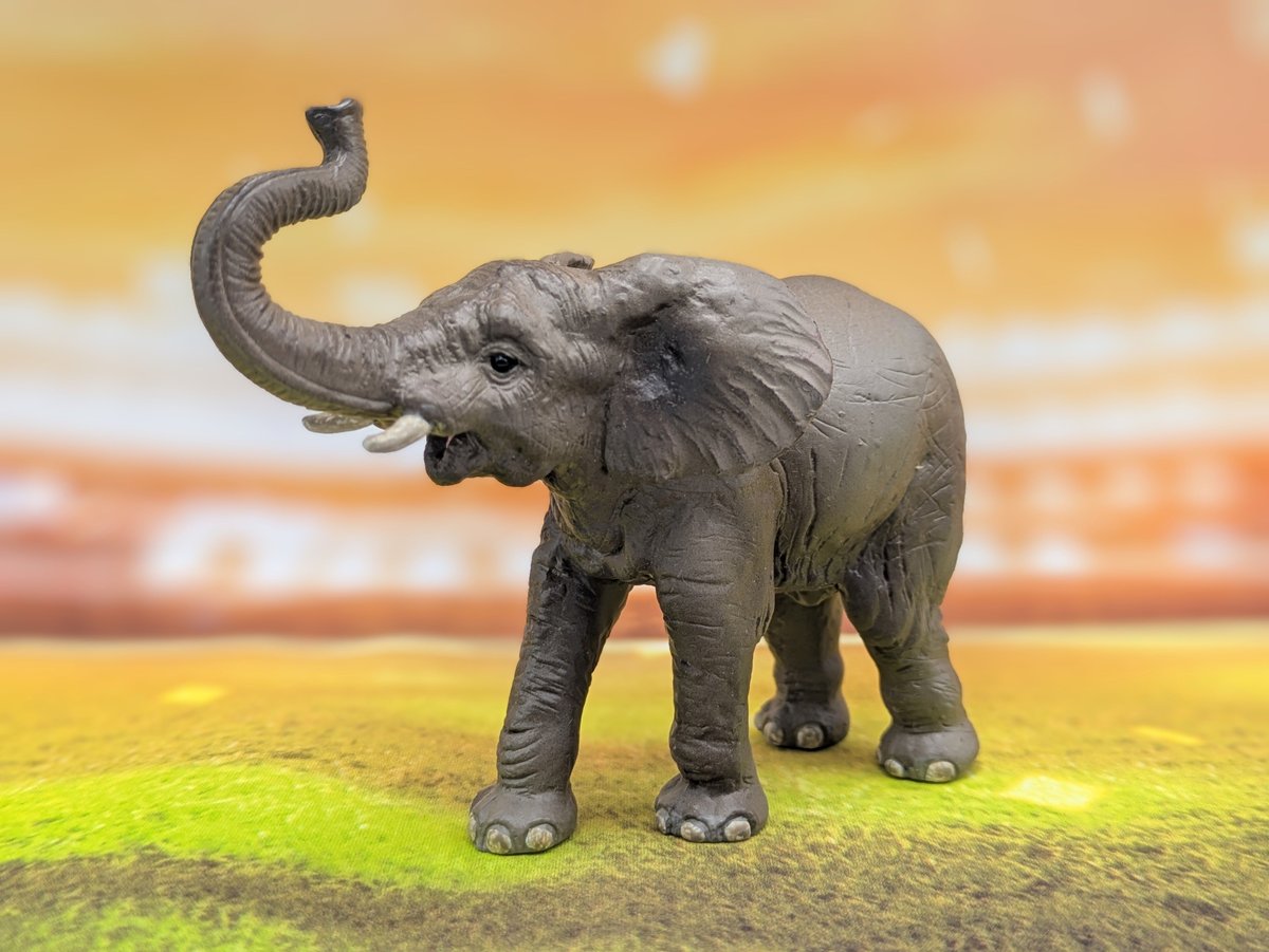 地球まるごと！動物図鑑 広がる！アフリカの仲間たち　リーメント 地球まるごと！動物図鑑 広がる！アフリカの仲間たち：商品案内