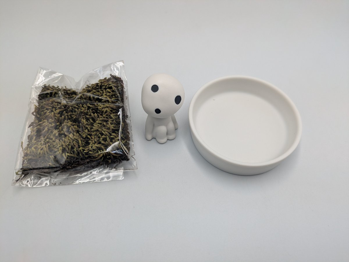 ジブリパーク もののけ姫 コダマ 苔栽培鑑賞セット | よしつねの秘密基地