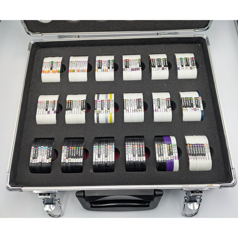 ポケモン メザスタ ジュラルミンケース メザスタトランク 収納ケース