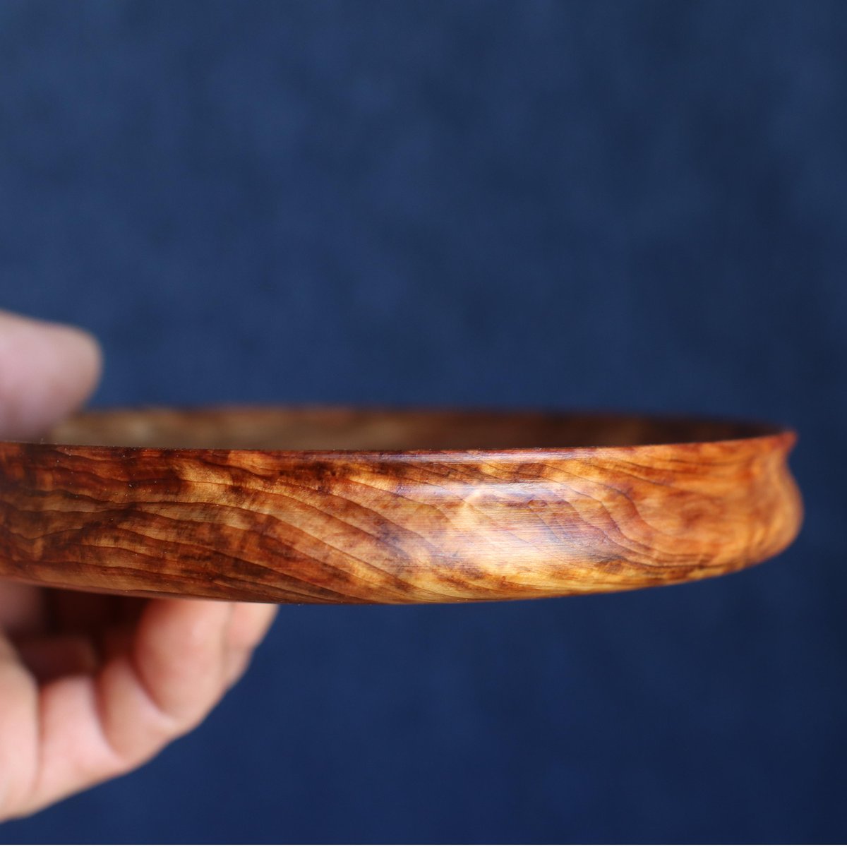 杉 瘤材 Φ157mm | pat woodworking online shop