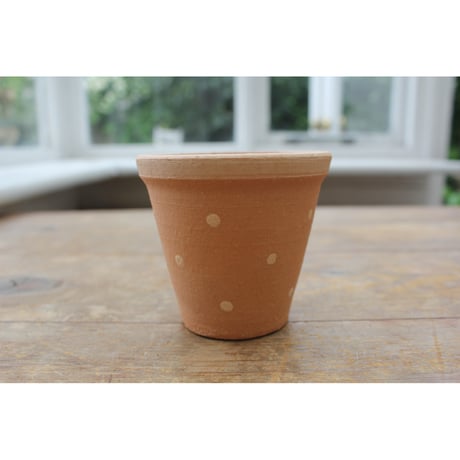 Jane Hogben Pot(S)ドット